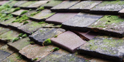 Wokefield roof repair costs
